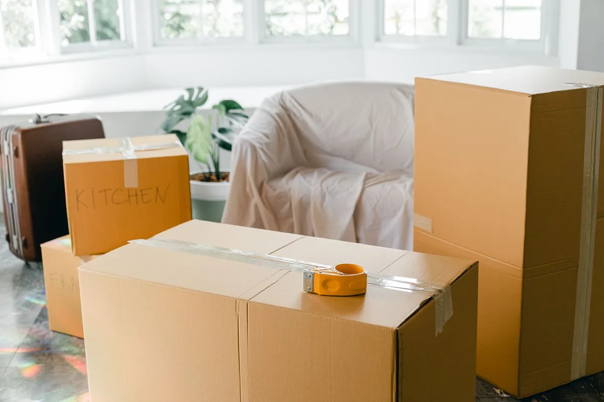 Hoarding Cleanup in Palma Ceia, Tampa, FL